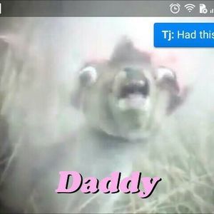 Meet your Posher, Xavier